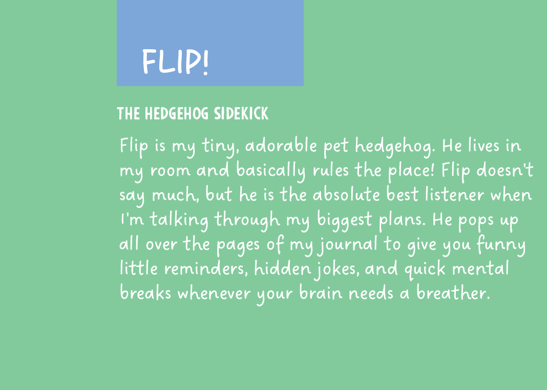 About Flip